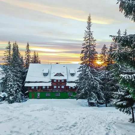 оріяна Oriyana *